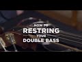 D'Addario Core: How to Restring Your Double Bass