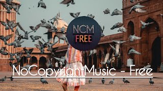 Happy Bird - Vishmak || No Copyright Music || Free Vlogging Music [ NCM - Free Release ]