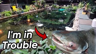 Monster Fish Causes Chaos in the 58,000 Gallon Monster Pond