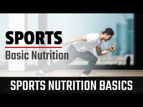 Basics of sports nutrition