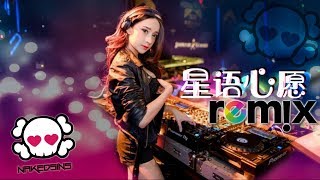 张柏芝 Cecilia Cheung - 星语心愿 Wish Upon a Star【DJ REMIX 伤感舞曲】