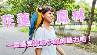 全集【花蓮鳳林】嗡嗡嗡～到小蜜蜂的家找最香濃的純蜜｜親近動物、舒心溫泉、住小木屋，放慢腳步享受慢城│蜂之鄉,新光兆豐休閒農場│Hualien│ep.324