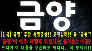 [금양] '금양' 주말 특별영상!! 고진감래!! 곧 '급등'? '금양'이 아주 저평가 되었다는 증거는? 어떤?드디어 이 내용을 오픈해도 되다니.. 꼭 보세요!! #박부장