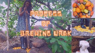 Urrak|| Brewing Process || Summertime Drink (2021) #lifestyle #vlog