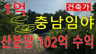 충남 싼임야 수～만평 계획관리3546포함 건축가 1억낙찰 산분장102억～수익가능 전원생활 숲야영장+텐트고기집6차산업 임업직불금 땅과함께(새희망을)경매임야 공매임야 나도땅주인