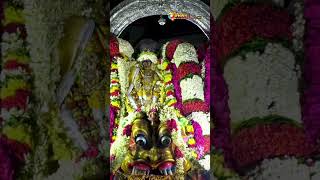 ஸ்ரீ ஏகாம்பரநாதர் கோயில் பங்குனி உற்சவம் திருவிழா காஞ்சிபுரம் சிம்ம வாகனம்