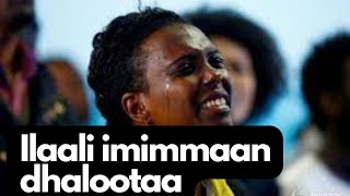 Ilaali Imimmaan Dhaloota | FAARFANNAA Aman Bayera | Oromo Gospel Song