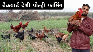 घर के बैकयार्ड में Desi Poultry Farming | Backyard Poultry Farming