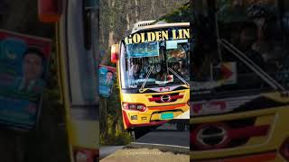 golden line bus TikTok