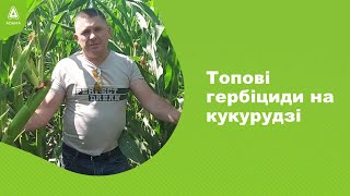 ТОП ГЕРБІЦИДІВ на кукурудзі. #Агроподорож ADAMA.