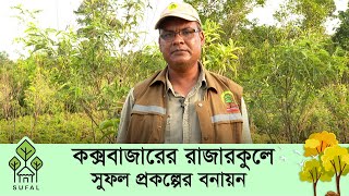 কক্সবাজারের রাজারকুলে সুফল প্রকল্পের মাধ্যমে বনায়ন | First Growing Plantation through SUFAL Project