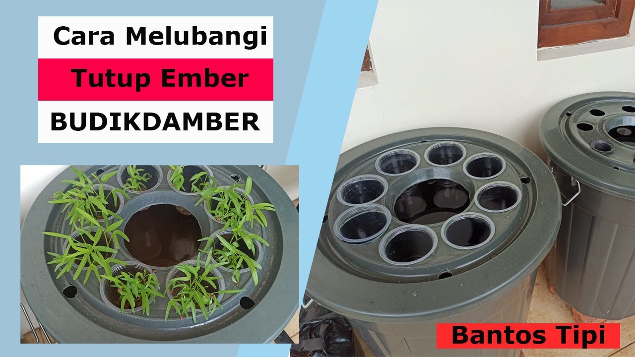 Cara Mudah Melubangi Tutup Ember Untuk Budidaya Ikan Di Dalam Ember ...