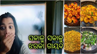 ସକାଳୁ ସକାଳୁ ଝରକା ଗାୟବ, ଲାଗିଛି ଜରି 🙄|pakhala ସହ Chingudi ବେସର ଜମିଲା 😍| Yummy Chicken Keema 😋