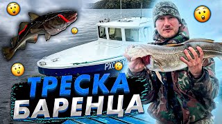 ТРЕСКА В БАРЕНЦЕВОМ МОРЕ / УРА ГУБА отличная рыбалка.