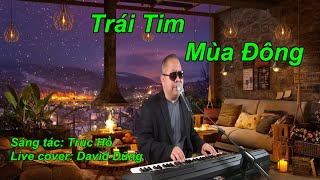 TRÁI TIM MÙA ĐÔNG | S/T: TRÚC HỒ | DAVID DŨNG (LIVE COVER)