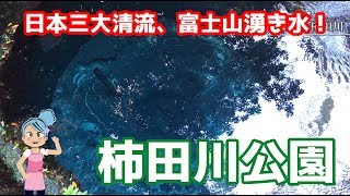 【柿田川公園】ドローン撮影 静岡良いとこ紹介04