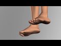 dpl® slipper – how it works