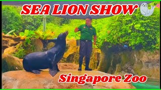 SEA LION SHOW 🦭 கடல் சிங்கம் 🦭🦭 Singapore zoo #singaporezoo #sea #lion #amazing #video #show