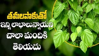 తమలపాకుతో ఇన్ని లాభాలున్నాయని చాలా మందికి తెలియదు | Health Benefits of Betel leaves | Aarogya Sutra