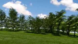 Moving Onyx tree test