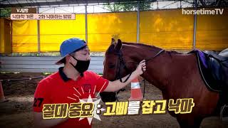 horsetimeTV 낙마학 개론 _ 제2화  낙마를 하는 방법 ( 승마 \u0026 외승  함께해요 )(  horse riding )