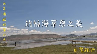 此生必驾，滇藏线-香格里拉纳帕海草原景色