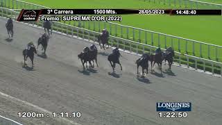 230528 c03 - MARCHADORA RYE (ARG) - HIPODROMO DE MAROÑAS