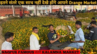 Santra Market Nagpur || एशिया का दूसरा सबसे बड़ा मार्केट 😱 || Santra Market Nagpur Santra Market