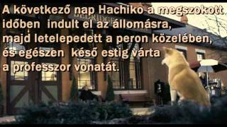 Hachiko -  Egy hűséges kutya története