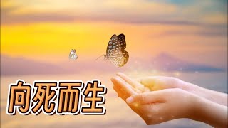 97 向死而生：面对衰老与死亡，如何活得更精彩？How to live a more splendid life in the face of aging and death?