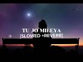 TU JO MILEYA - [SLOWED+REVERB]