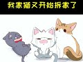 盘点那些手欠又爱拆家的猫咪，小猫咪能有什么坏心眼