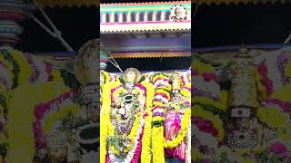 శ్రీ అపీత కుచాంబ సమేత అరుణాచలేశ్వర దర్శనం #tiruvannamalai #arunachalam #shiva #shorts #arunagiri