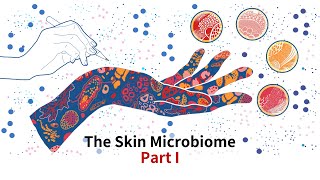 皮膚微生物叢 / The Skin Microbiome - Part I