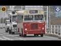 九巴經典系列 kmb classic series part 9 利蘭亞比安維京 leyland albion viking 單層巴士 粵語版）chi u0026eng subtitles kmb bus