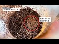 【ひつ研217th】粒度別に三層にしてコーヒーを抽出したら濃度は変化するのか？