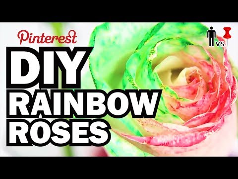 DIY Rainbow Roses - Man Vs. Pin #26 DIY Rainbow Roses - Man Vs. Pin #26