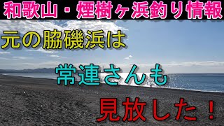 01-28　煙樹ヶ浜釣り情報・取材編【第1227回】元の脇磯浜は釣り人が一人だけで、常連さんも見放したか？＃遠投カゴ釣り #和歌山釣り #煙樹ヶ浜