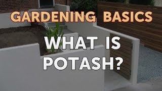 What Is Potash?