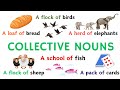 100 Common Collective Nouns in English | English for Beginners