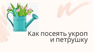 Секреты посева петрушки и укропа