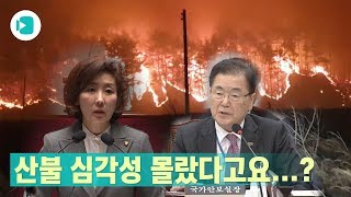 산불 심각성 몰랐다는 나경원 의원...이제 와서 남 탓?  / 비디오머그