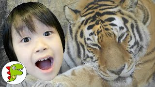 おでかけ 日本平動物園へいったよ！どうぶつさんをいろいろみてみよう！ZOO トイキッズ