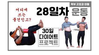 3030다이어트 28일차 홈트레이닝 운동_복부 지방과 이별하기_복지별(7X4)