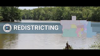 Redistricting PSA