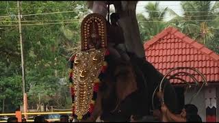 Sree Pisharikavilamma Song | Pisharikavilamma | Pisharikavu Temple Kollam | Kozhikode