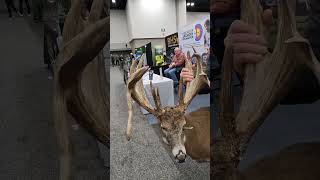 Have you ever seen a buck like this? #hunting #deer #deerhunting #wildlife #buck #crazy #wild