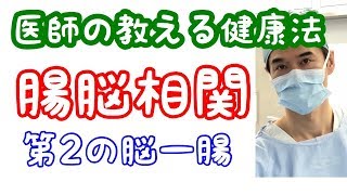 腸脳相関　第２の脳　腸内細菌　セロトニン　ストレス