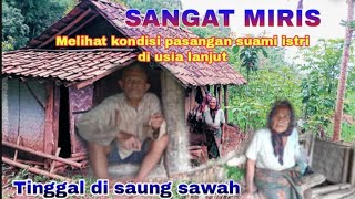 JUMPA PASANGAN LANSIA YANG TINGGAL DI SAUNG SAWAH ~ MIRIS BANGET LIATNYA SEPASANG SUAMI ISTRI