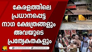 കേരളത്തിലെ പ്രധാനപ്പെട്ട നാഗ ക്ഷേത്രങ്ങളും അവയുടെ പ്രത്യേകതകളും | MANNARASALA TEMPLE